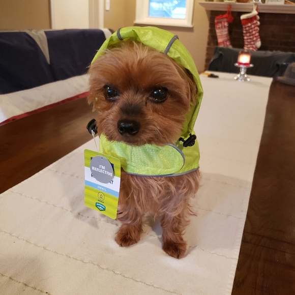 Reflective Dog Hooded Rain Jacket S - Picture 7 of 16